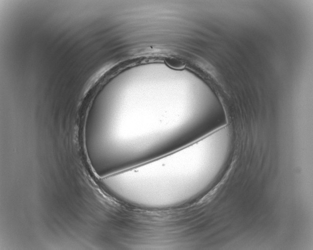 X0000066091066200603100957