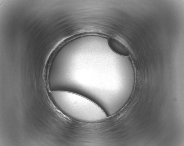 X0000066091068200603100957
