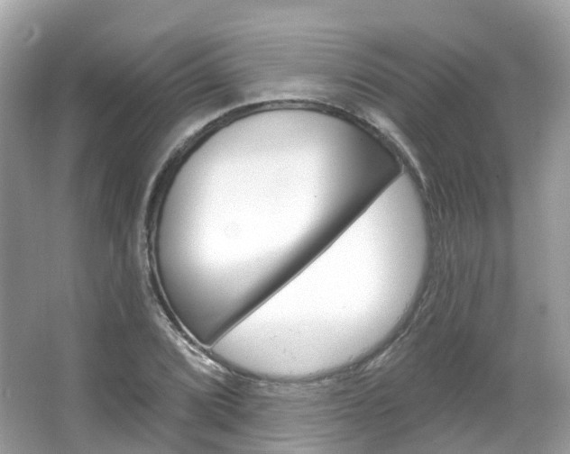 X0000066091072200603100957