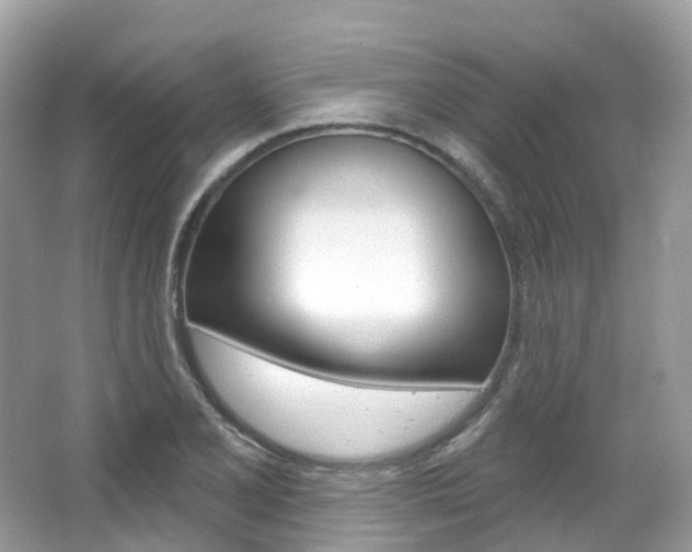 X0000066091077200603100957