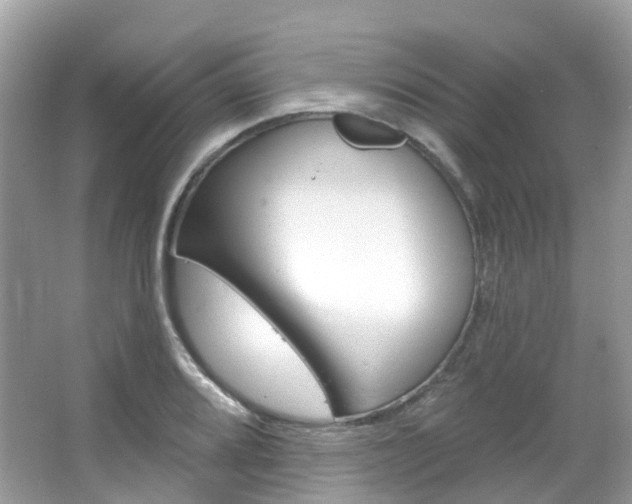 X0000066091080200603100957