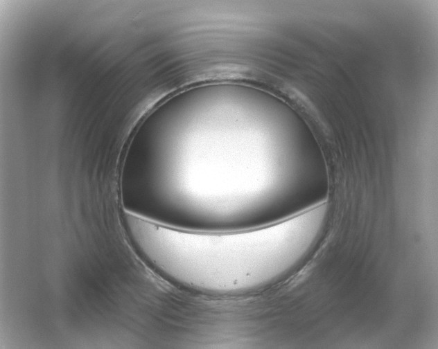 X0000066091081200603100957