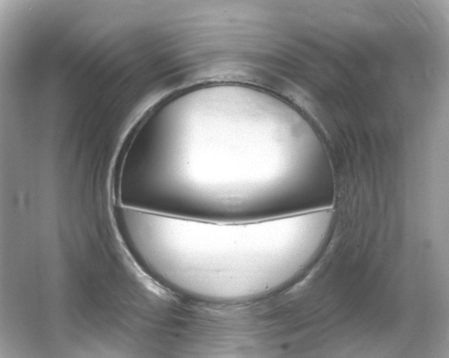 X0000066091082200603100957