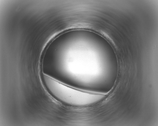 X0000066091085200603100957
