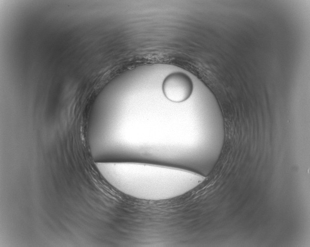 X0000066091106200603100956