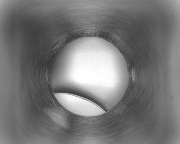 X0000066091107200603100956