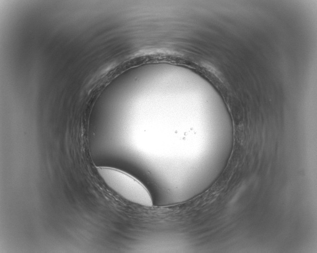 X0000066091111200603100956