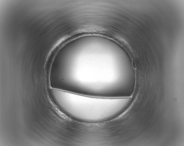 X0000066091114200603100956