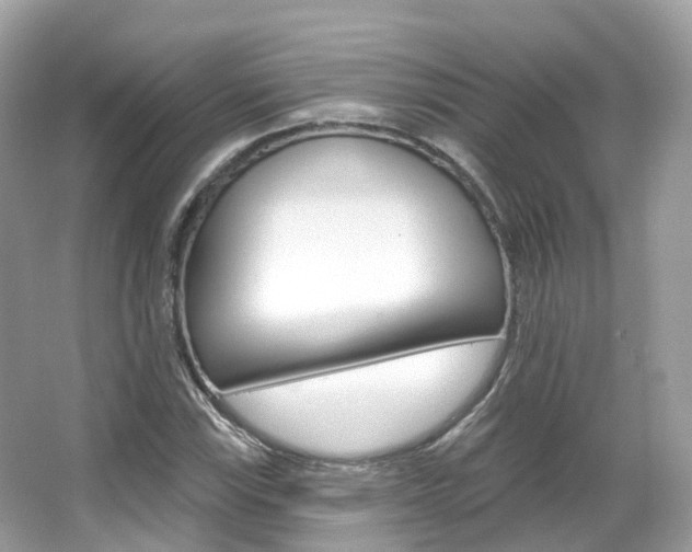 X0000066091115200603100956