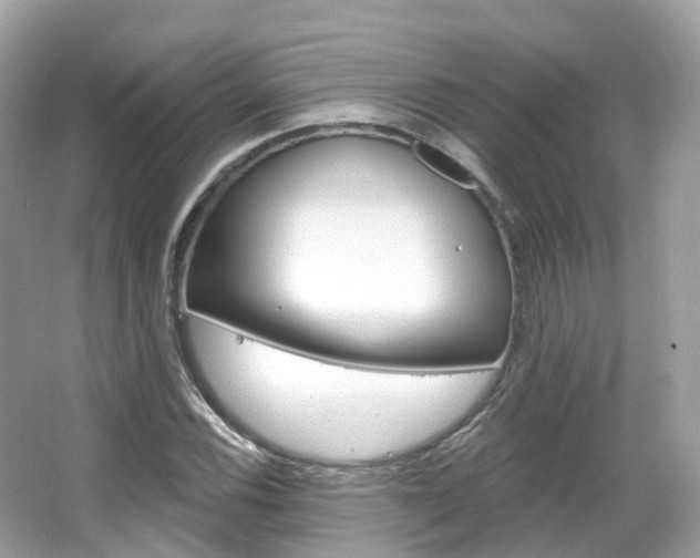 X0000066091116200603100956
