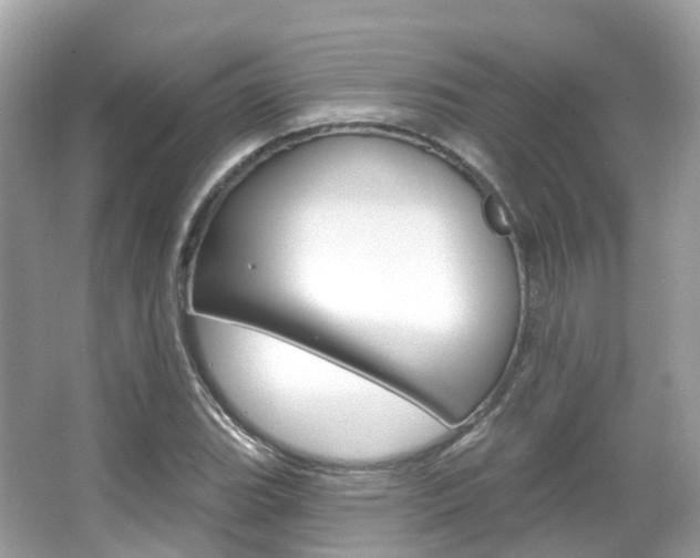 X0000066091119200603100956