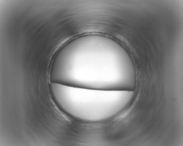 X0000066091121200603100956