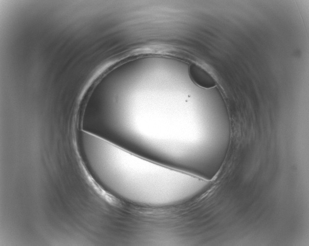 X0000066091131200603100956