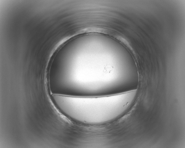 X0000066091133200603100956