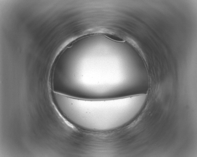 X0000066091141200603100956