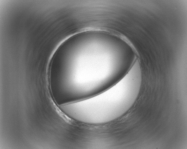 X0000066091148200603100956