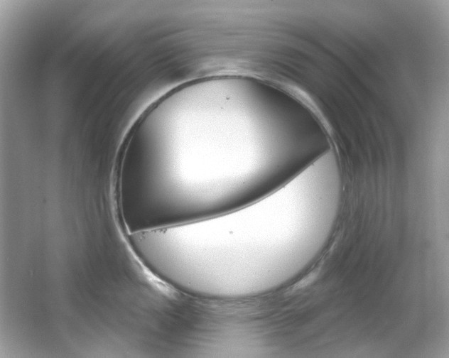 X0000066091149200603100956