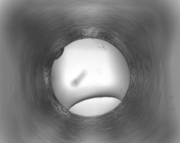 X0000066091154200603100956