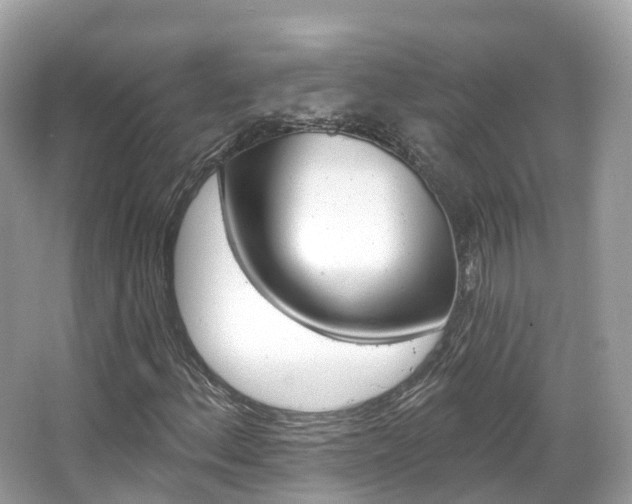 X0000066091156200603100956