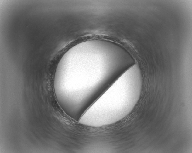X0000066091159200603100955