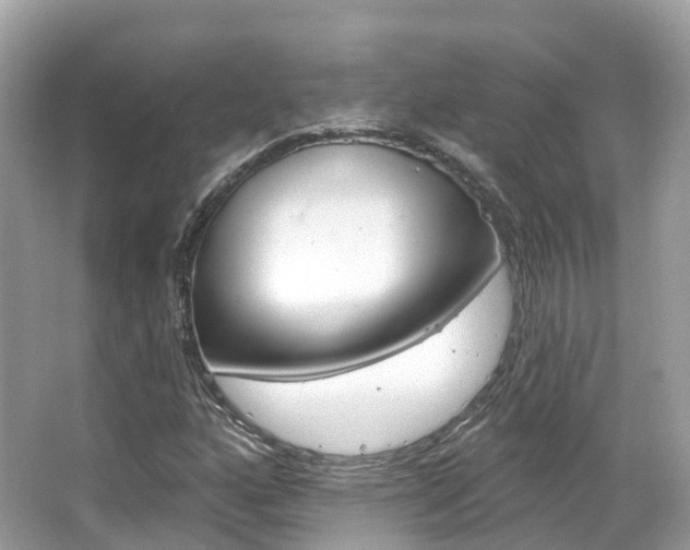 X0000066091160200603100955