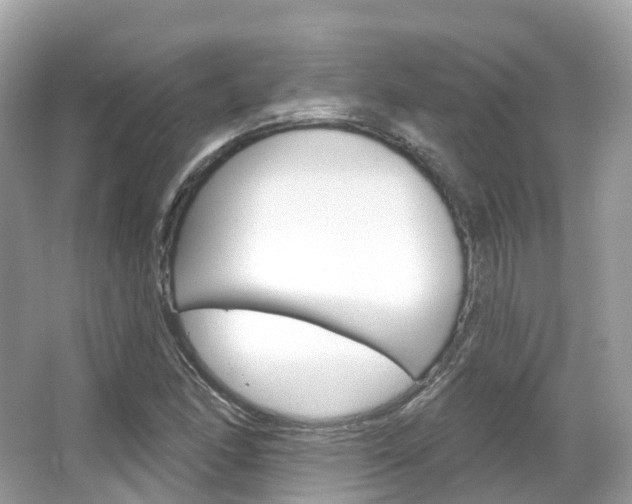 X0000066091166200603100955