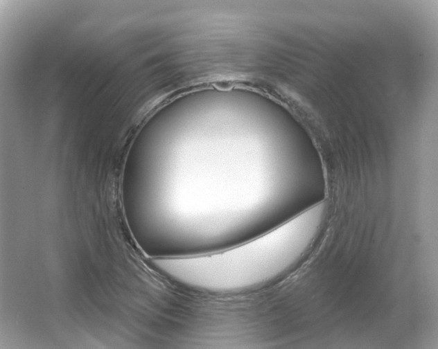 X0000066091169200603100955