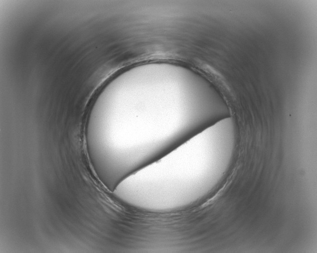 X0000066091170200603100955