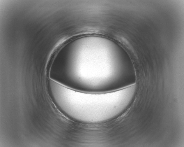 X0000066091172200603100955