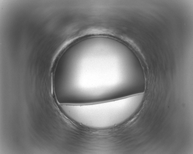 X0000066091175200603100955