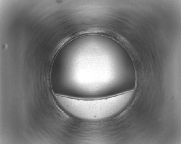 X0000066091177200603100955