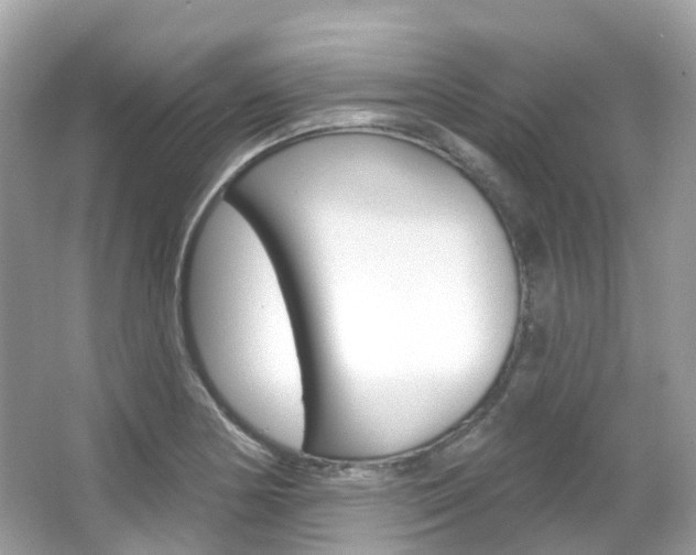 X0000066091178200603100955