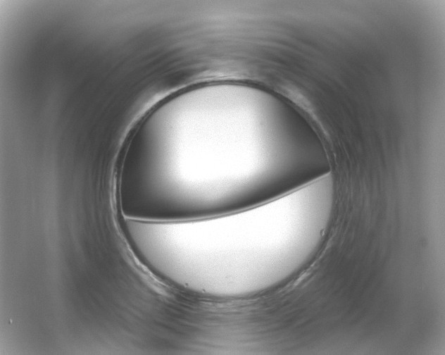 X0000066091179200603100955