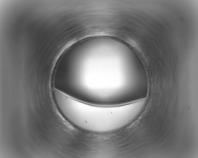 X0000066091181200603100955