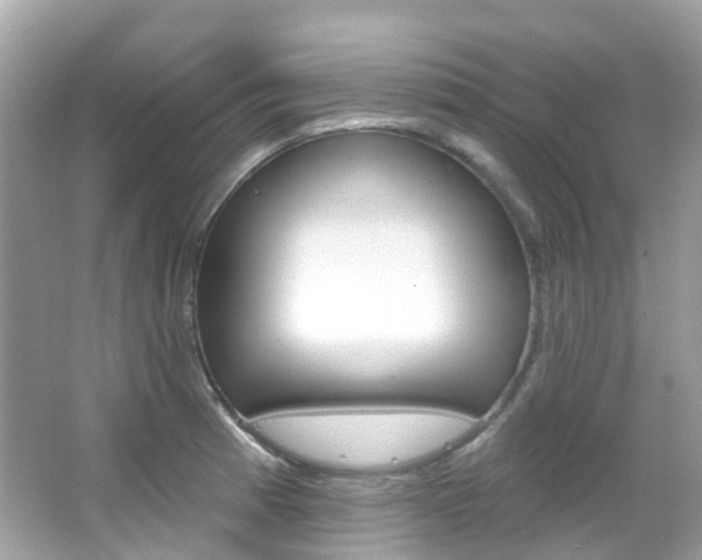 X0000066091185200603100955