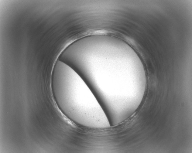 X0000066091194200603100955