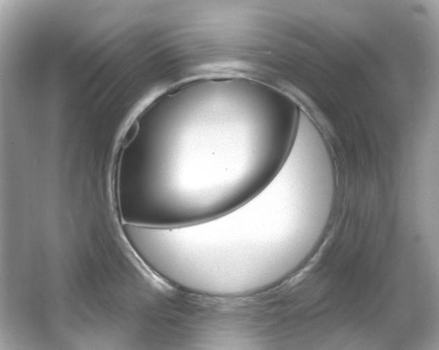 X0000066091196200603100955