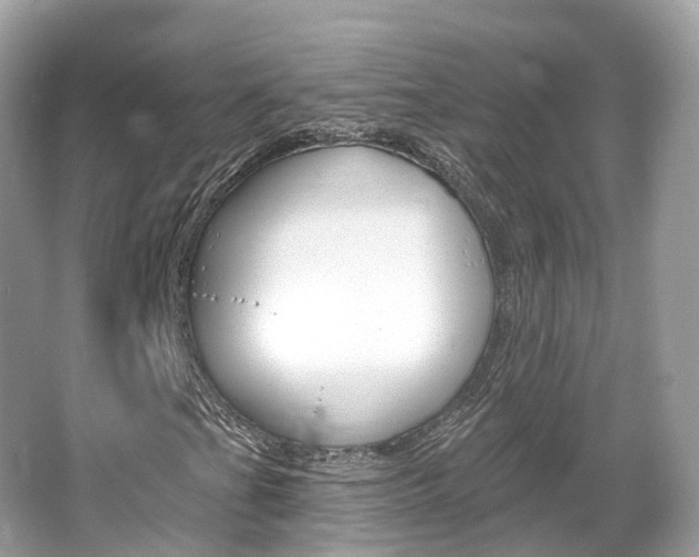 X0000066091201200603100954