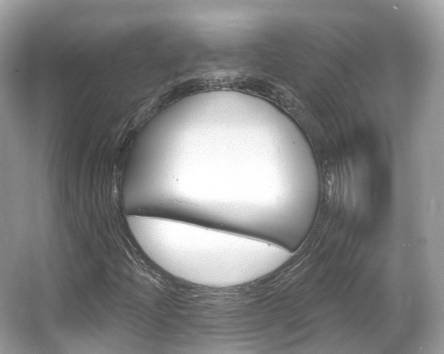 X0000066091204200603100954