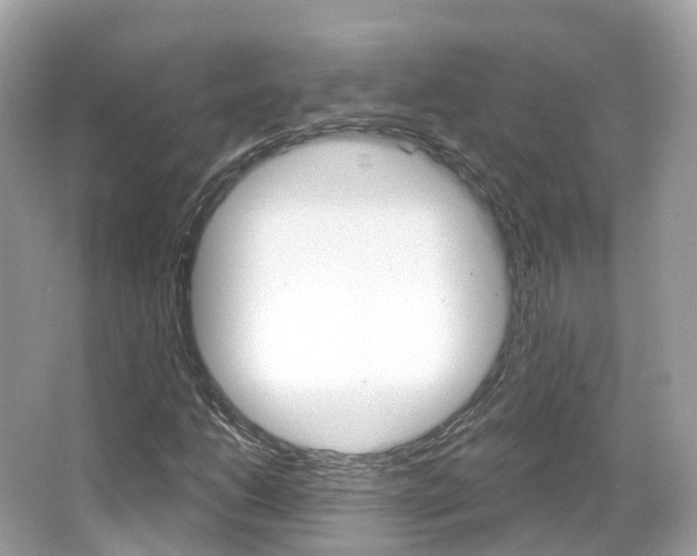 X0000066091206200603100954