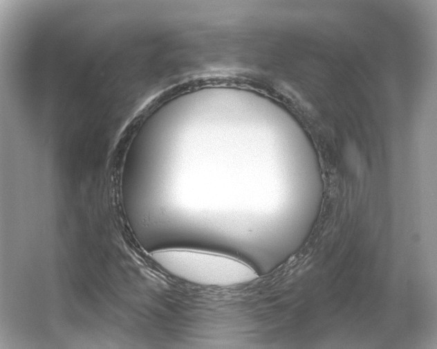 X0000066091208200603100954