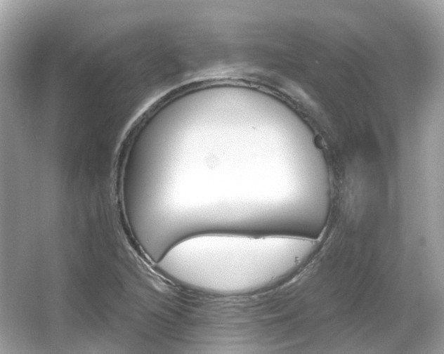 X0000066091216200603100954