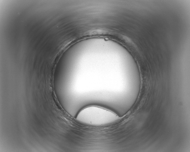 X0000066091217200603100954