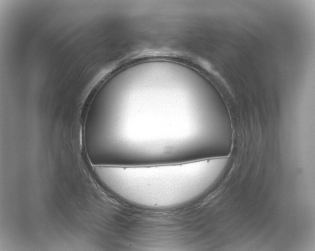 X0000066091221200603100954