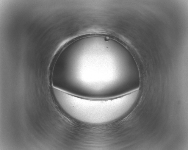 X0000066091222200603100954