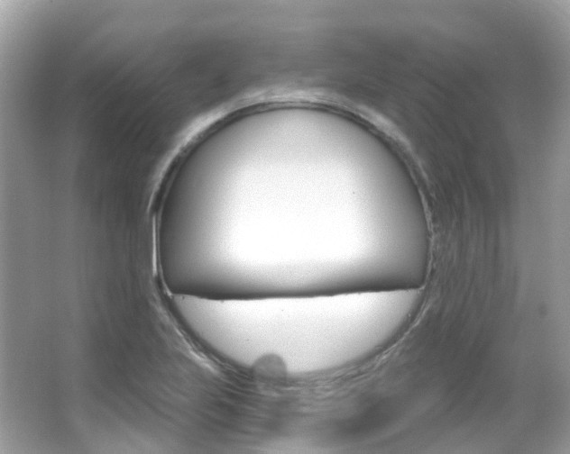 X0000066091223200603100954