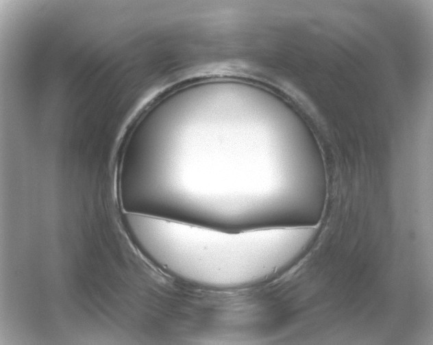 X0000066091224200603100954