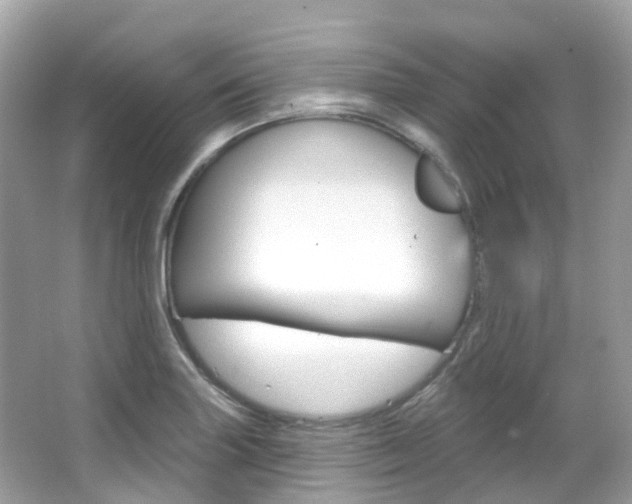 X0000066091227200603100954