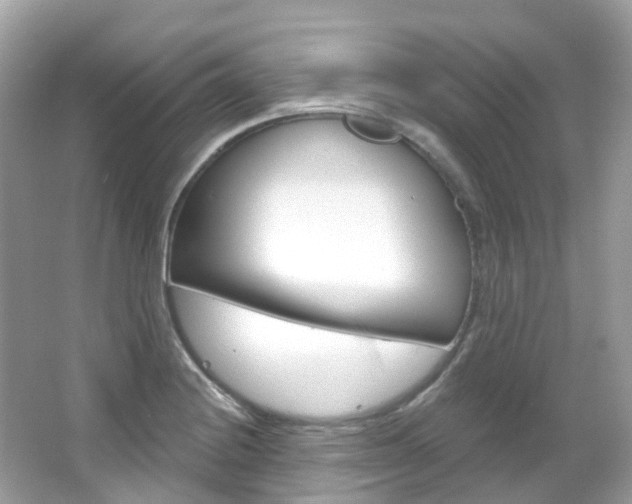 X0000066091228200603100954
