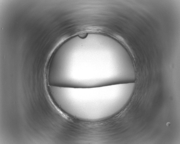 X0000066091235200603100955